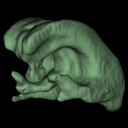 Neonatal Cerebral Lateral Ventricle Segmentation from 3D Ultrasound Images
